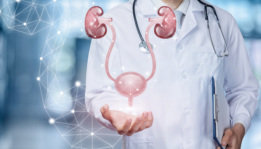 Üroloji hangi hastalıklara bakar Ürolojik sağlık hakkında merak edilenler