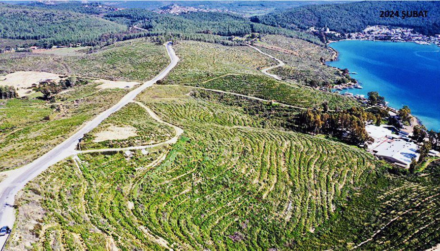 Orman Genel Müdürlüğünden Bodrum’daki yangın bölgelerine ilişkin açıklama