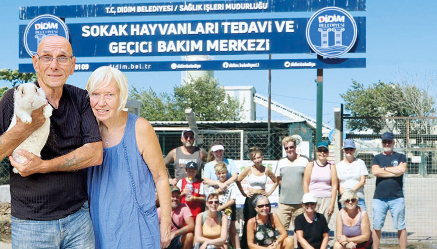 Didim’deki sokak köpekleri İngiliz çifte emanet: 200 köpeğe yurtdışında yeni hayat Didim’deki sokak köpekleri İngiliz çifte emanet: 200 köpeğe yurtdışında yeni hayat