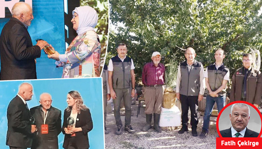 Orman Dede’nin imdat çığlığı duyuldu