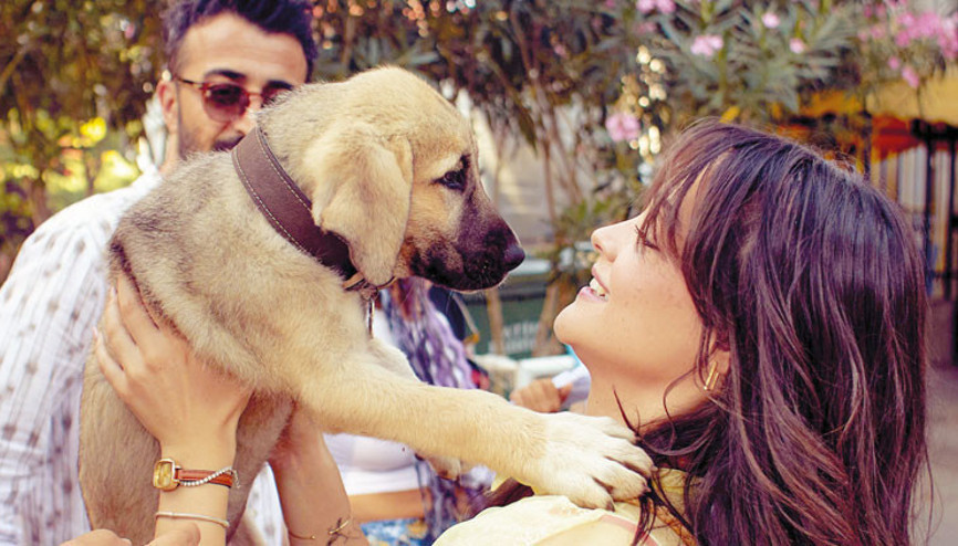 Setin sevimli maskotu