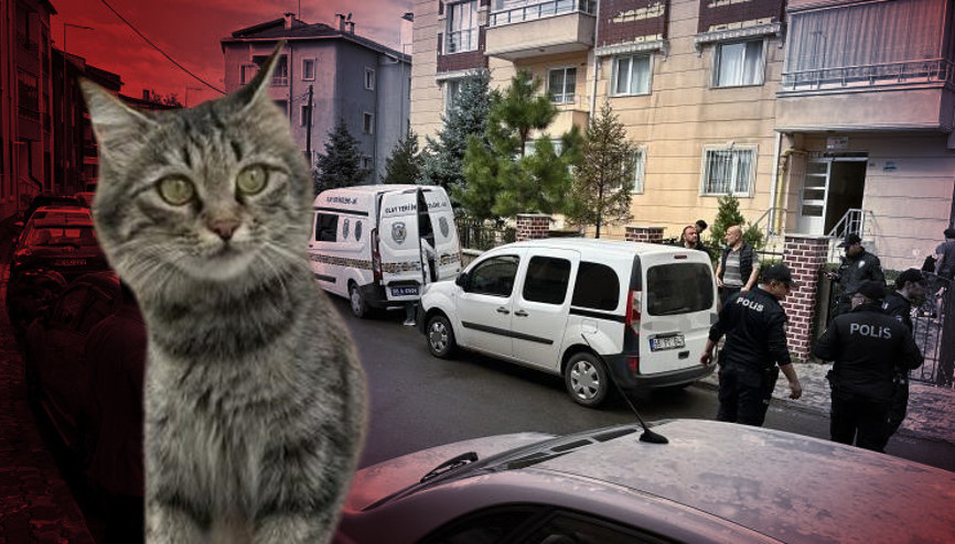 82 yaşındaki emekli öğretmen dehşet saçtı: Kedi kavgasında 1 kişi hayatını kaybetti