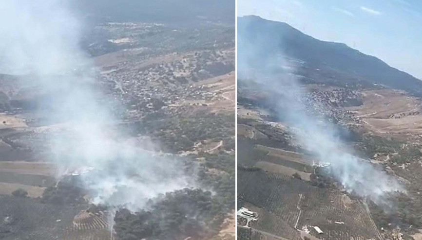 İzmir Dikilide korkutan orman yangını