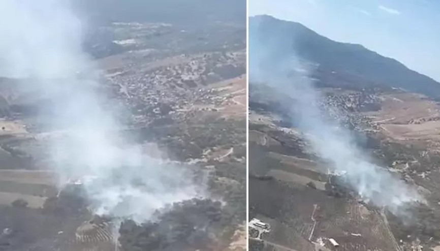 İzmir’in Dikili ilçesinde orman yangını