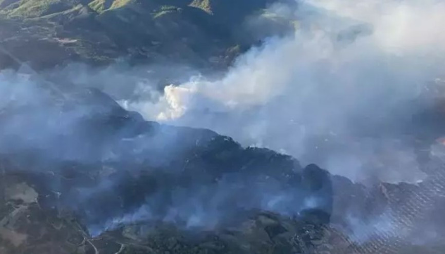 Muğla’da 3 ilçede orman yangını