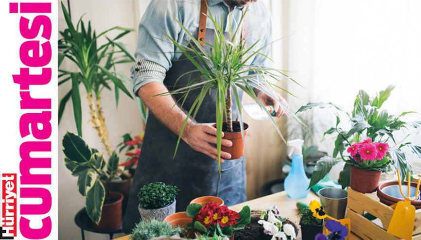 Bitkilerin dinlenme vakti