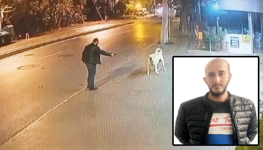 Hayvan düşmanı suç makinesi çıktı