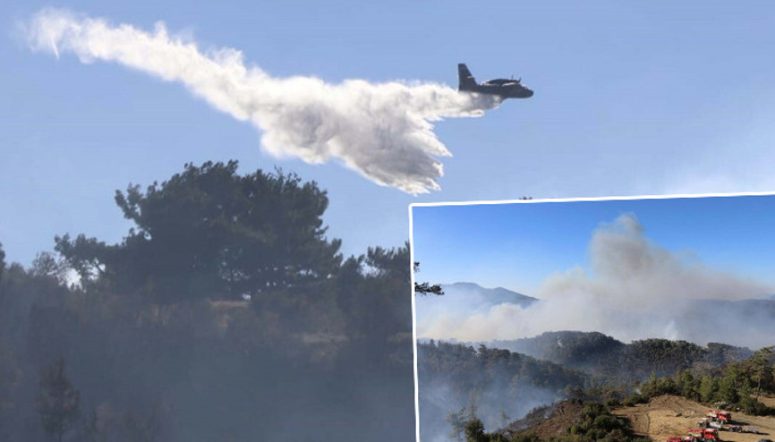 Muğlanın Dalaman ve Menteşe ilçelerinde orman yangınlarına müdahale sürüyor