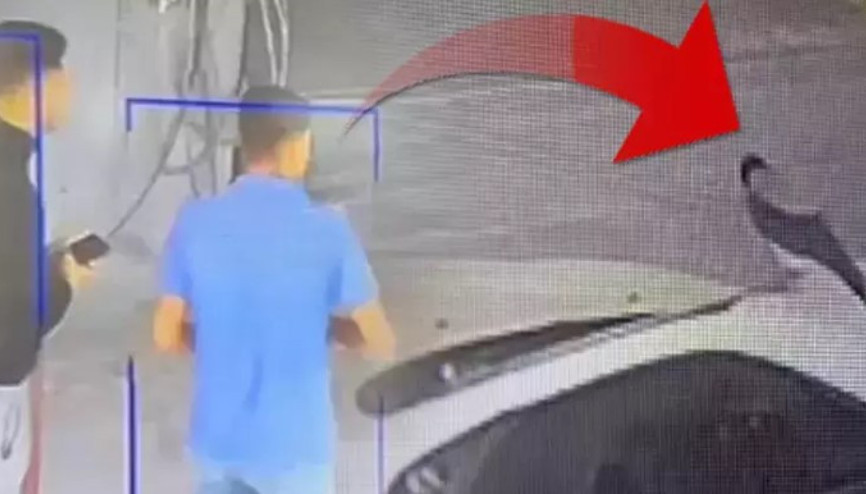 Otomobile konan karga, kaputtaki anahtarı böyle aldı