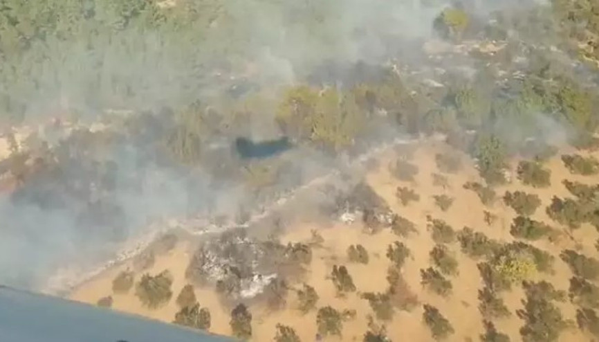 İzmir’in Kınık ilçesinde orman yangını