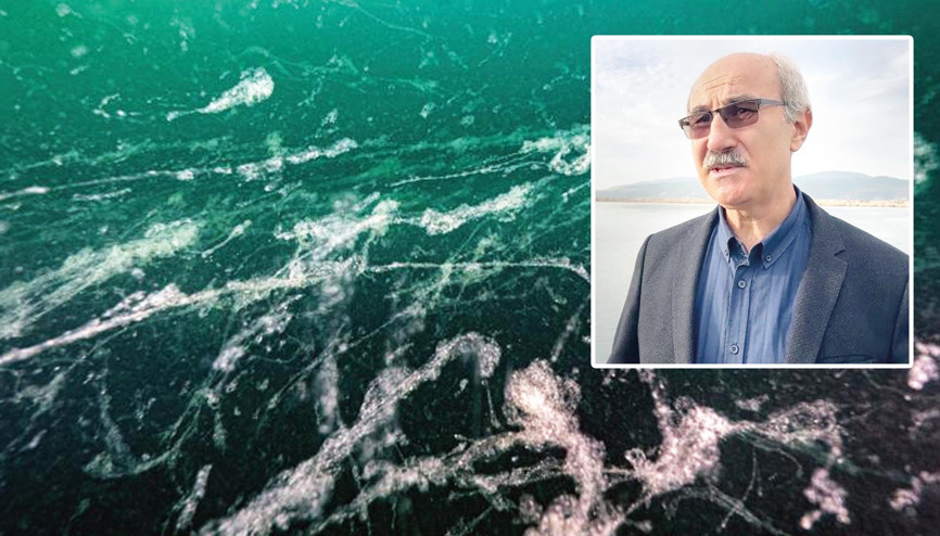 Prof. Dr. Mustafa Sarı’dan dikkat çeken uyarı: Müsilaj geri döndü