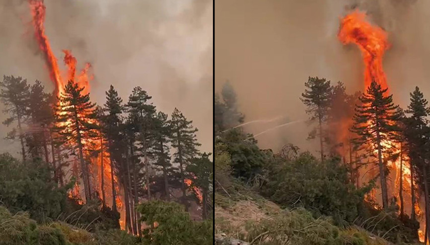 Denizlideki orman yangını altıncı gününde kontrol altına alındı