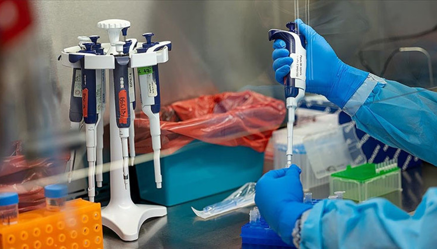 İngilteredeki ilk M-çiçeği varyantı