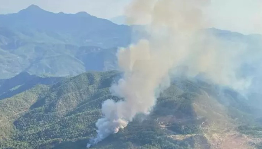 Muğlanın Köyceğiz ilçesinde orman yangını