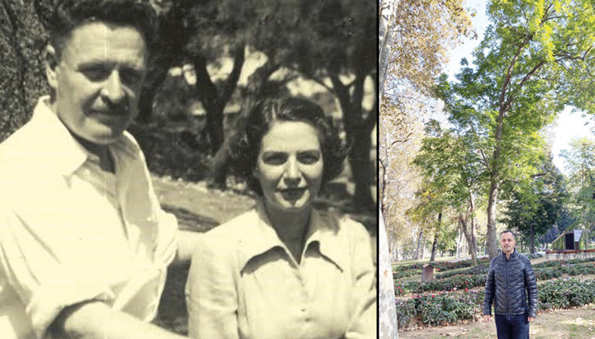 Sadece bir tane kaldı... İşte Nazım’ın Gülhanede’ki ‘ceviz ağacı’ Sadece bir tane kaldı... İşte Nazım’ın Gülhanede’ki ‘ceviz ağacı’