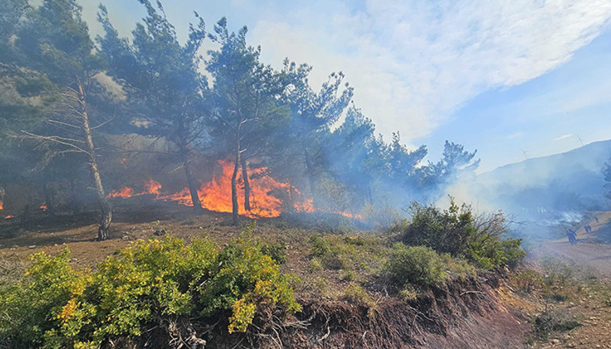 Hatayda orman yangını: 20 saat sonra kontrol altına alındı 95 hektar alan zarar gördü