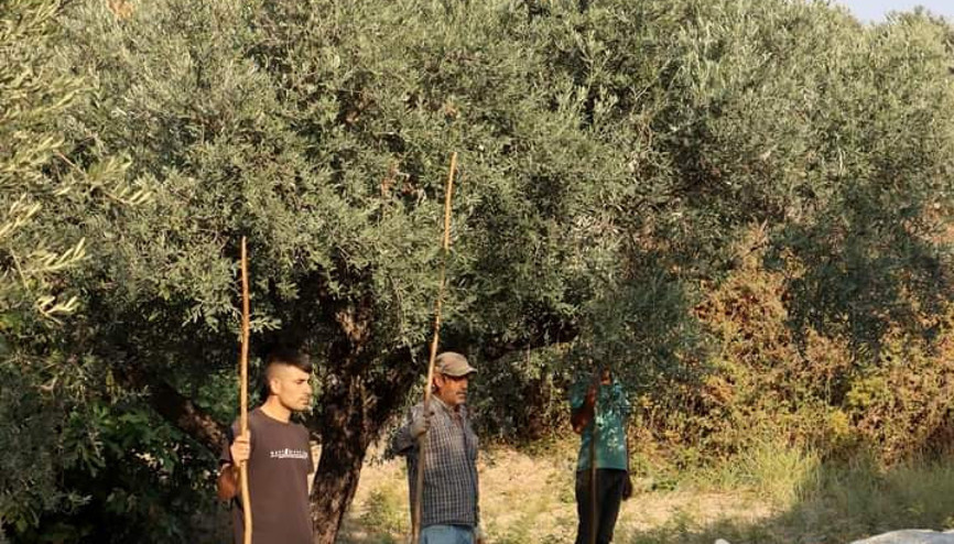 Çiftçiler 09.05’te Ata’ya saygı duruşunda bulundu Çiftçiler 09.05’te Ata’ya saygı duruşunda bulundu