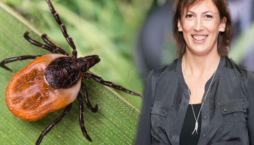 Ünlü komedyen Miranda Hartın hastalığına 30 yıl sonra lyme teşhisi koyuldu | Bir kene tarafından ısırıldığınızı fark etmeyebilirsiniz