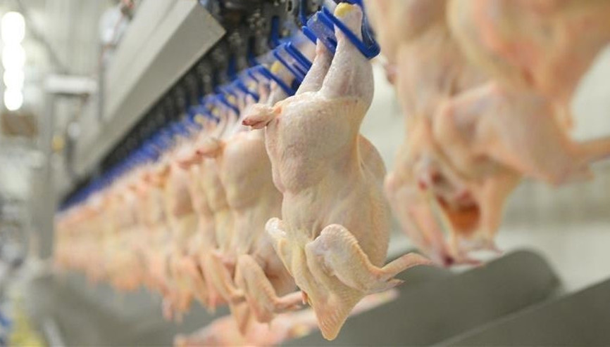 Buzluktaki tarihi geçmiş tavuk yenir mi Buzluktaki tarihi geçmiş tavuk zehirler mi