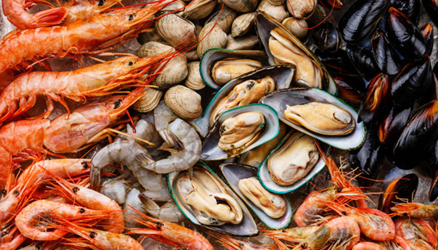 Gezegendeki en besleyici iki şey... Kabuklu deniz ürünleri gerçekten sağlığa faydalı mı