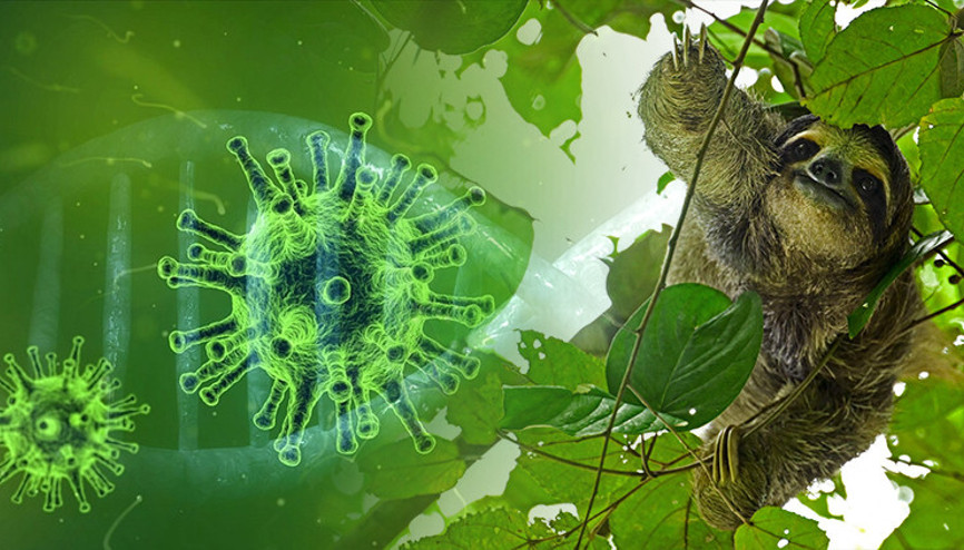 Tembel hayvan ateşi bulaştı: Bebeği ölü doğdu... Uzmanlar uyardı