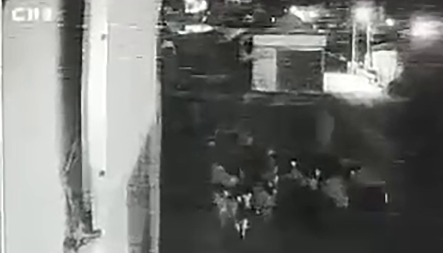 Besicinin 90 koyununu 1 dakikada çaldılar Besicinin 90 koyununu 1 dakikada çaldılar