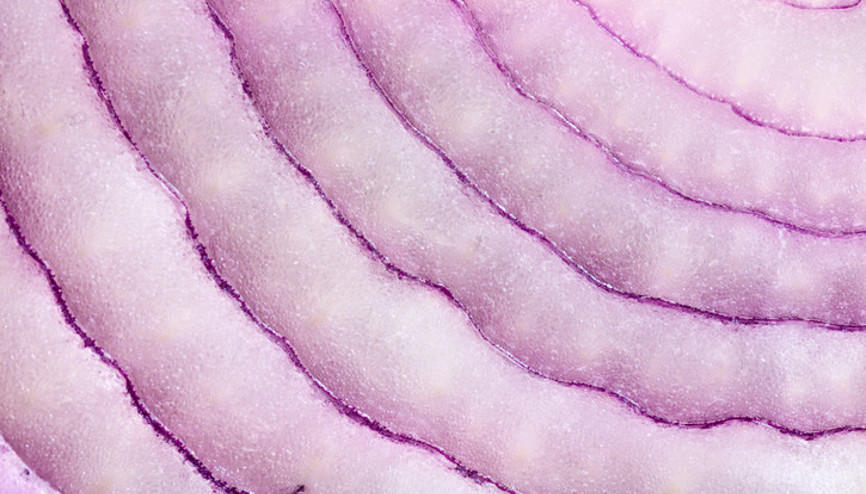 Bu faydasını hiç bilmiyorduk İçeriğindeki o maddeler sayesinde...