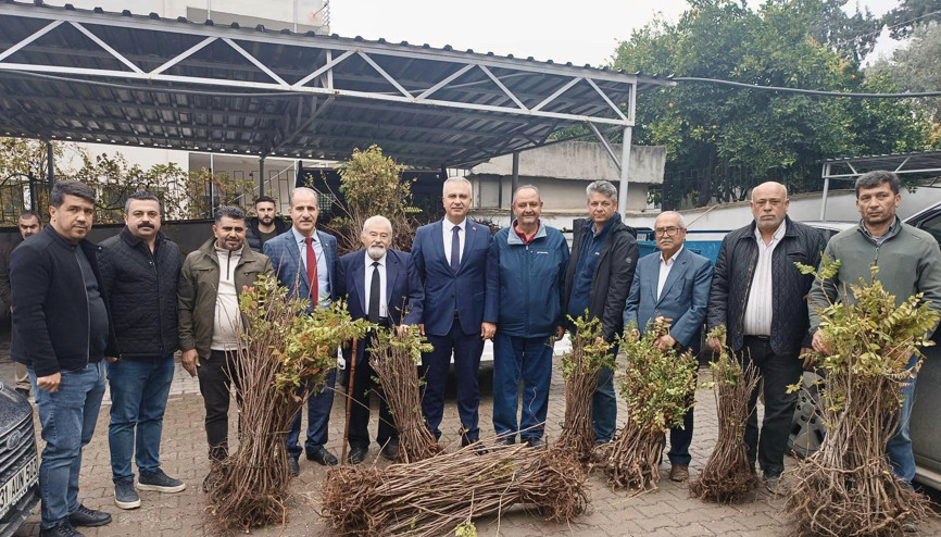 Hatay’da çiftçilere 4 bin 500 sumak fidanı dağıtıldı Hatay’da çiftçilere 4 bin 500 sumak fidanı dağıtıldı