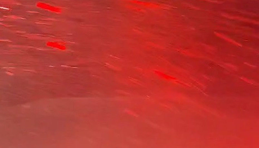 Ordu’da karda mahsur kalan 4 kişi için kurtarma çalışması başlatıldı (2) Ordu’da karda mahsur kalan 4 kişi için kurtarma çalışması başlatıldı (2)