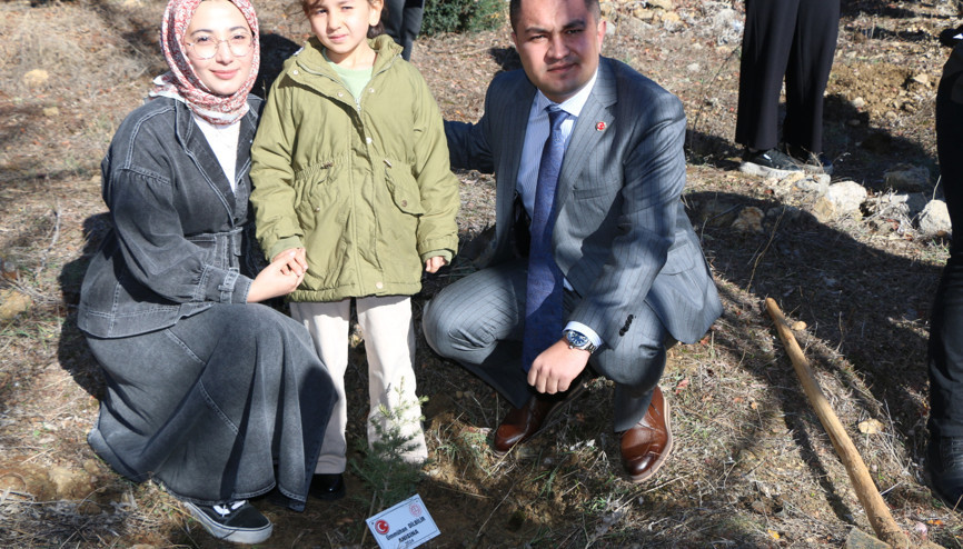 Üzerine kaya düşen otomobilde ölen 4 öğretmen için hatıra ormanı Üzerine kaya düşen otomobilde ölen 4 öğretmen için hatıra ormanı