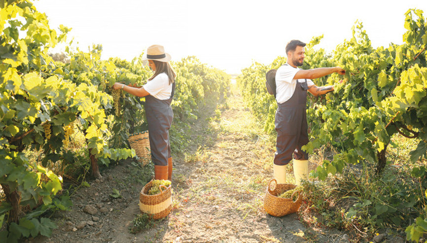 Ne eksiğimiz var Toskana’dan