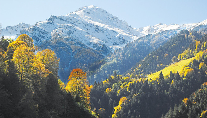 Böğürtlenlerin, ahududuların peşinde adım adım yükseklere...