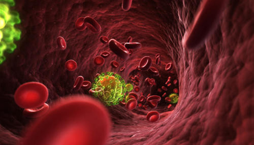 Geçen yıl 630 bin kişi AIDS ile ilişkili hastalıklardan yaşamını yitirdi... Dokunmayla, sarılmayla, ter ve tükürük yoluyla bulaşmaz
