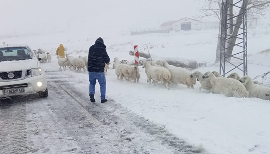 Meteoroloji açıkladı: Türkiyede en soğuk yer burası oldu