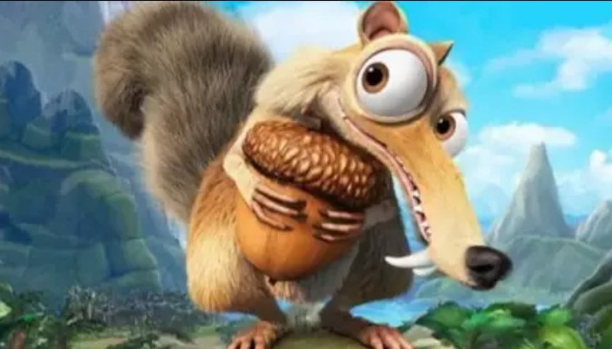 Meşe palamudu yenir mi, faydaları ve zararları nelerdir