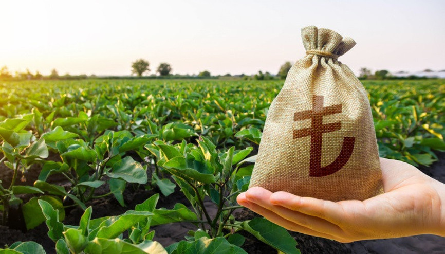 Tarımsal destekleme ödemesi yattı mı, kaç TL Tarım ve Orman Bakanlığı Tarımsal destek ödemeleri 2024 Tarımsal destekleme ödemesi yattı mı, kaç TL Tarım ve Orman Bakanlığı Tarımsal destek ödemeleri 2024