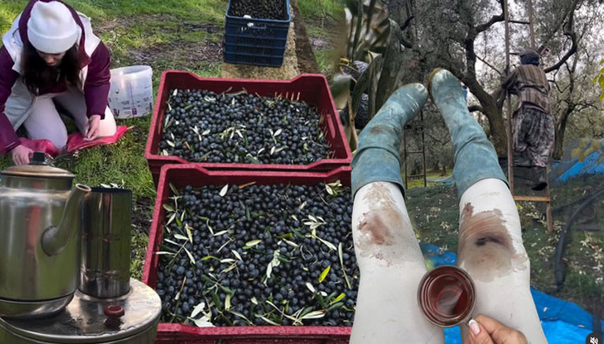 Her şeyi ardında bırakıp İstanbulu terk etmişti... Ünlü oyuncu için hasat zamanı