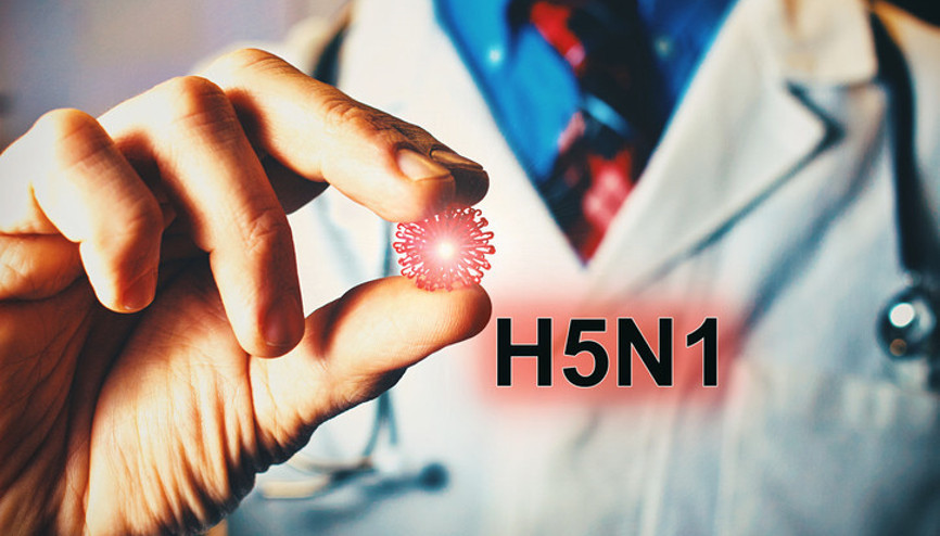 Kuş gribi belirtileri nelerdir, nasıl tedavi edilir ABDde acil durum ilan edildi H5N1 aşısı var mı