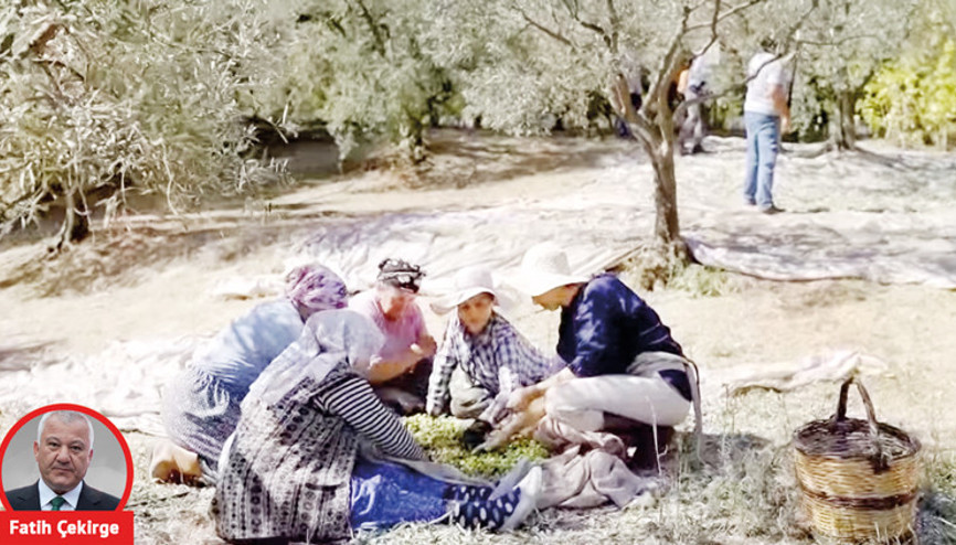 Hayallerini toprağa eken kadınlar