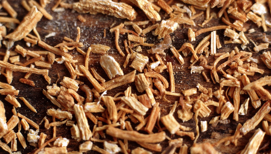 Araştırmalarla doğrulandı: Saçları uzatıyor, dökülmeyi önlüyor Uzmanı nasıl kullanılması gerektiğini açıkladı…