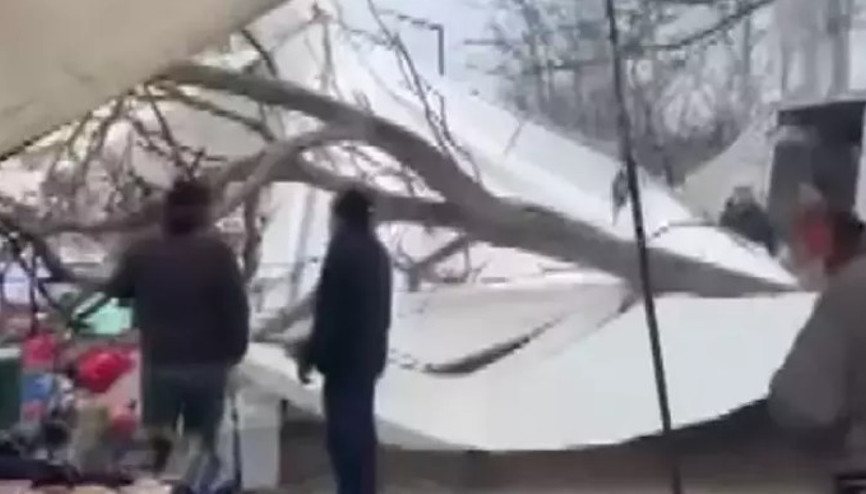 İstanbul Güngören’de ağaç, pazar tezgâhlarının üstüne devrildi İstanbul Güngören’de ağaç, pazar tezgâhlarının üstüne devrildi