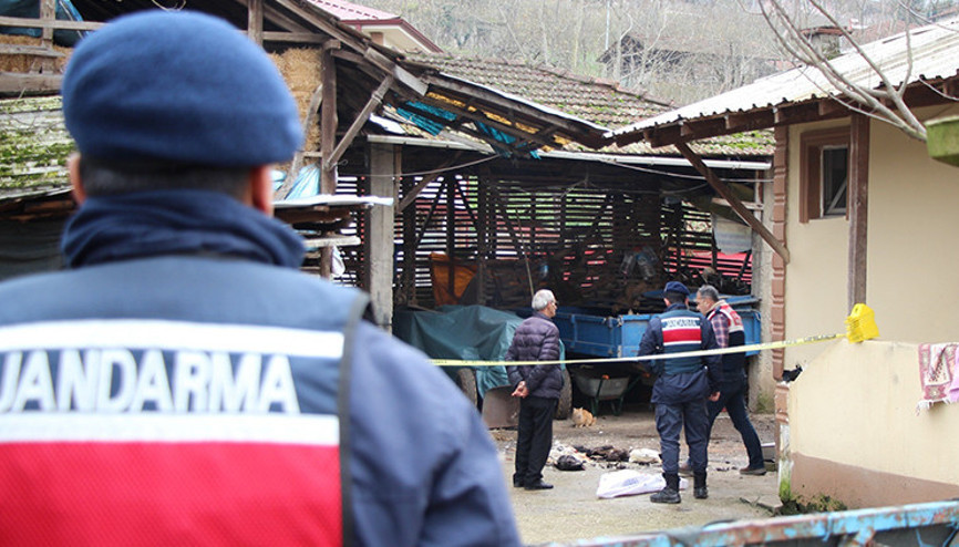 Akıllara durgunluk veren olay: Horozları için kurşun yağdırıp dehşet saçtı