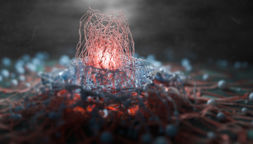 Erken evrede belirti vermiyor 21 yaşından itibaren bu testi mutlaka yaptırmalı