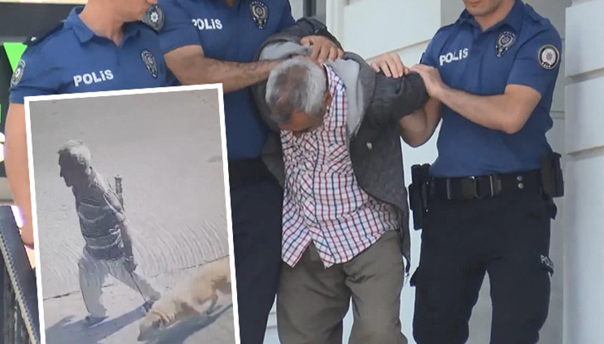 Bakırköydeki iğrenç olayda karar çıktı: Köpeğe istismarda bulunan sanığın cezası belli oldu Bakırköydeki iğrenç olayda karar çıktı: Köpeğe istismarda bulunan sanığın cezası belli oldu