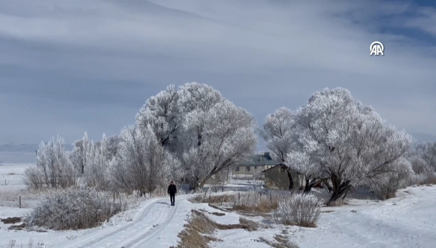 Ağrıda ağaçlar kırağı tuttu