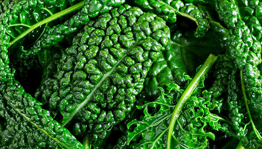 Beynin yaşlanmasını yavaşlatıyor En güçlü bileşikler bu besinlerde bulunuyor