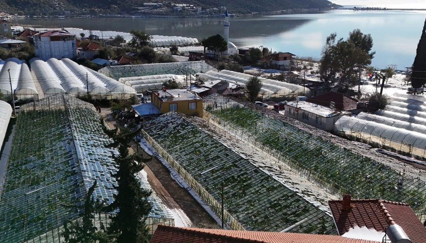 Şiddetli dolu ve yağmur, 200 dönüm seraya zarar verdi