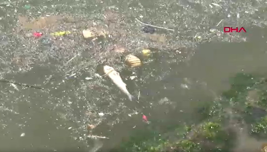 İzmir Körfezindeki kirlilik ve balık ölümlerine ilişkin soruşturma