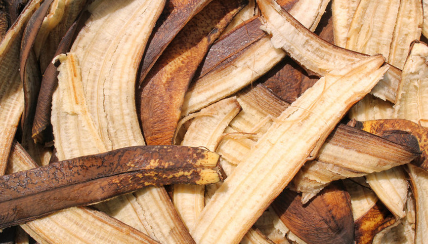 Dünyadaki tüm uçakların üç katından fazla Her yıl milyonlarca ton faydalı kabuk çöpe gidiyor... İsrafı önlemenin yolları