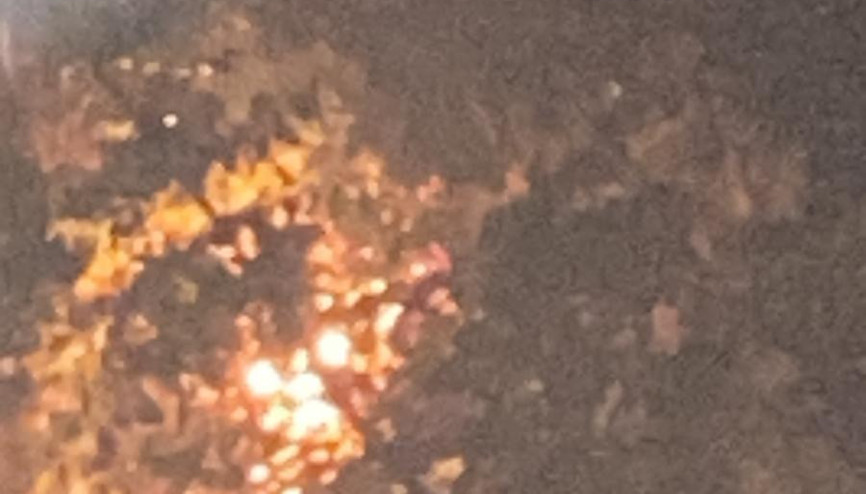 Rize’de anız ateşi ormana sıçradı Rize’de anız ateşi ormana sıçradı